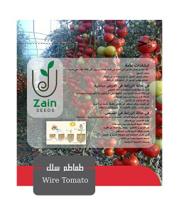 بذور الطماطم المزروعة بالشبكات من زين سيدز - 10 بذور