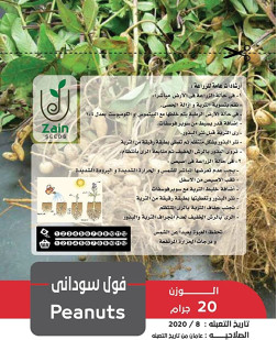 بذور الفول السوداني من زين سيدز للزراعة المنزلية -20 جرام