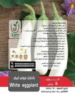 بذور الباذنجان الأبيض من زين سيدز الزراعة المنزلية - 5 جرام
