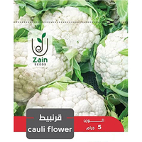 بذور قرنبيط للزراعة المنزلية من زين سيدز- 5 جرام