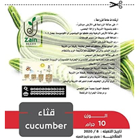 بذور قثاء من زين سيدز للزراعة المنزلية- 10 جرام