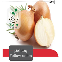 بذور بصل اصفر من زين سيدز سيدز 5 جرام