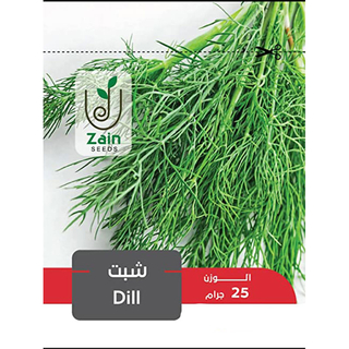 بذور شبت للزراعة المنزلية،10 جرام