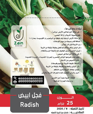 بذور الفجل الابيض من زين سيدز للزراعة المنزلية 25 جرام