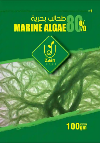 طحالب بحرية خضراء وزن 100 جرام
